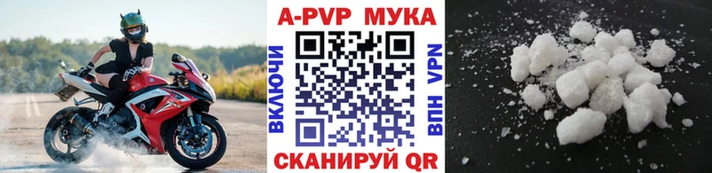 мега ссылки  Приозерск  Альфа ПВП СК КРИС 
