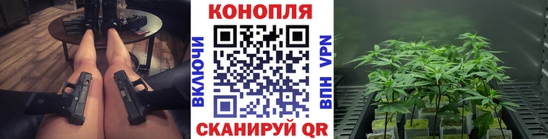 Бошки марихуана гибрид  как найти закладки  Приозерск 